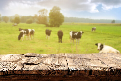 Farm to Table beef